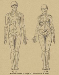 Postura normal del cuerpo de un hombre y una mujer